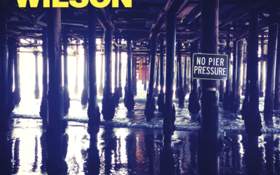 Countdown The Top 15 Albums Of 2015: #12 – Brian Wilson “No Pier Pressure”