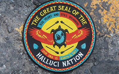 #11 A Tribe Called Red “We Are The Halluci Nation” – Top 20 Albums of 2016