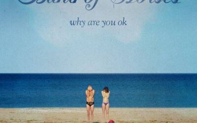 #28 Band Of Horses  “Why Are You OK” – Year End Countdown of The Most Notable Albums of 2016
