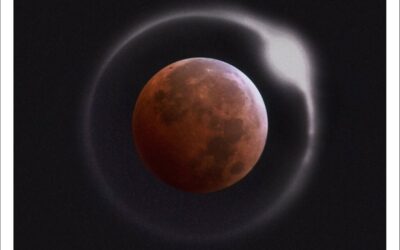 #3 Ray LaMontagne “Ouroboros”  – Top 10 Albums of 2016