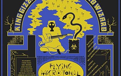 #40 King Gizzard & The Lizard Wizard – “Flying Microtonal Banana” – 52 Weeks of 2017 Albums
