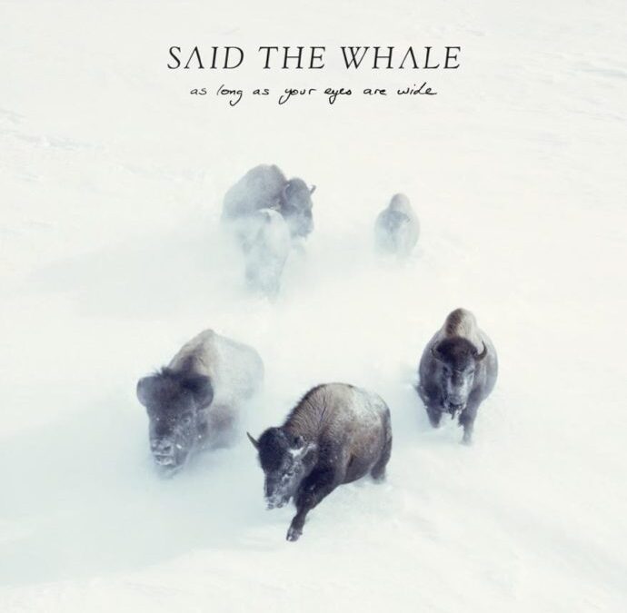 #39 Said The Whale – “As Long As Your Eyes Are Wide”