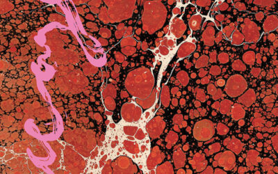 Iceage – Beyondless