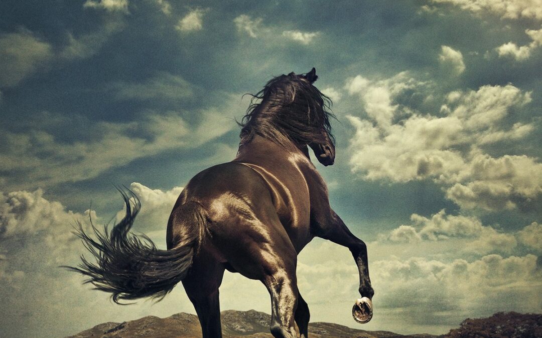 Bruce Springsteen – Western Stars