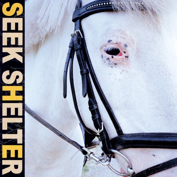 The Top 21 Albums of 2021 – #11 Iceage “Seek Shelter”