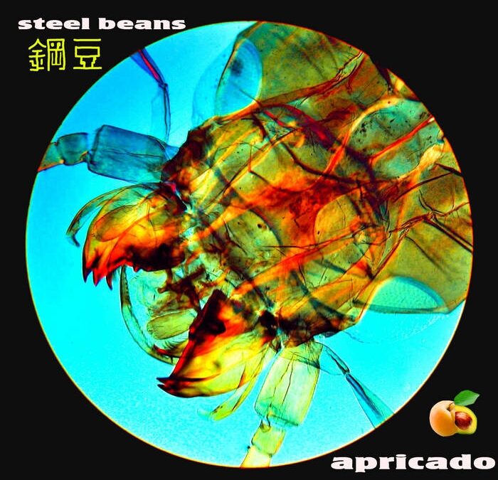 Album Of The Week – Steel Beans “Apricado”