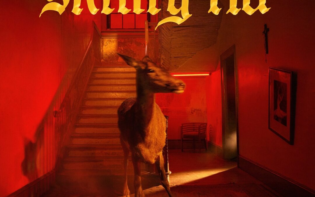 Album Of The Week – Fontaines D.C. “Skinty Fia”