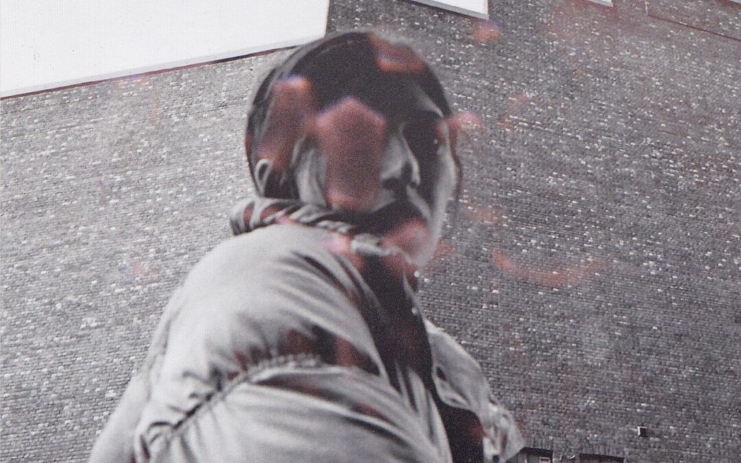 Album Of The Week – Aldous Harding “Warm Chris”