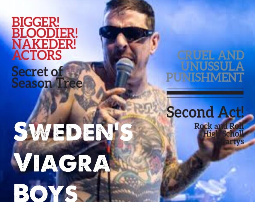 RNRF Issue No 10 Sweden’s Punk Rock Viagra Boys