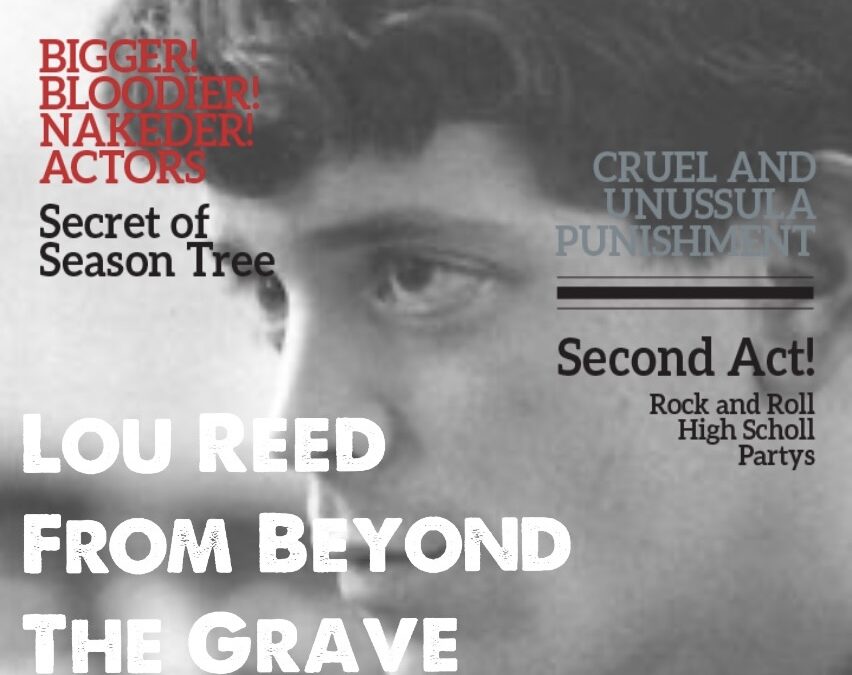 RNRF Issue No 18 Lou Reed From Beyond The Grave